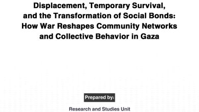 Photo of Working paper: Displacement, Temporary Survival, and the Transformation of Social Bonds: How War Reshapes Community Networks and Collective Behavior in Gaza